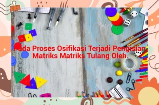 featured image pada proses osifikasi terjadi pengisian matriks matriks tulang oleh 0