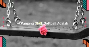 featured image panjang stick softball adalah 0