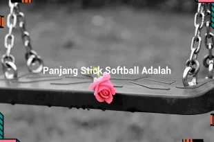 featured image panjang stick softball adalah 0