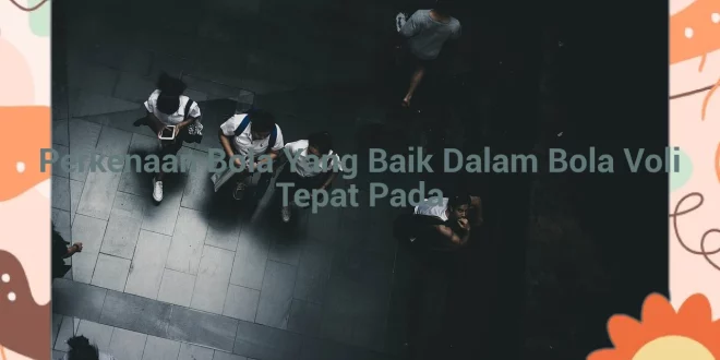 featured image perkenaan bola yang baik dalam bola voli tepat pada 0