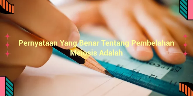 featured image pernyataan yang benar tentang pembelahan meiosis adalah 0
