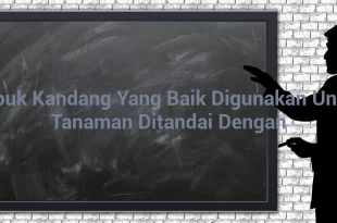 featured image pupuk kandang yang baik digunakan untuk tanaman ditandai dengan 0