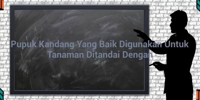 featured image pupuk kandang yang baik digunakan untuk tanaman ditandai dengan 0