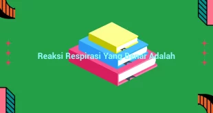 featured image reaksi respirasi yang benar adalah 0