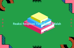 featured image reaksi respirasi yang benar adalah 0