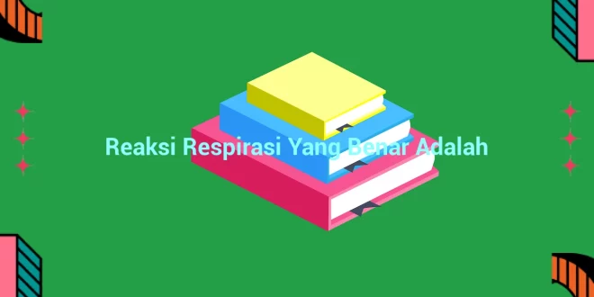 featured image reaksi respirasi yang benar adalah 0
