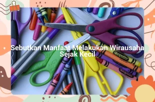 featured image sebutkan manfaat melakukan wirausaha sejak kecil 0