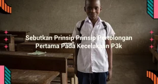 featured image sebutkan prinsip prinsip pertolongan pertama pada kecelakaan p3k 0