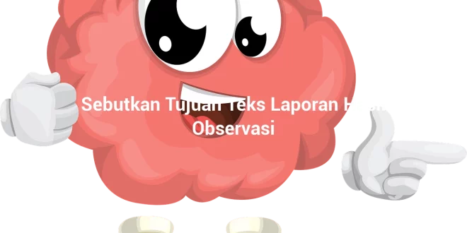 featured image sebutkan tujuan teks laporan hasil observasi 0