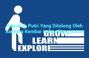 featured image siapakah putri yang ditolong oleh saudara kembar indera bangsawan 0