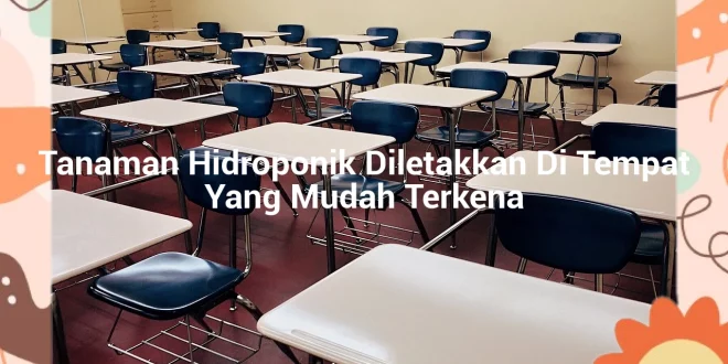 featured image tanaman hidroponik diletakkan di tempat yang mudah terkena 0