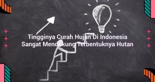 featured image tingginya curah hujan di indonesia sangat mendukung terbentuknya hutan 0