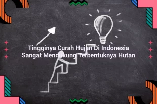featured image tingginya curah hujan di indonesia sangat mendukung terbentuknya hutan 0