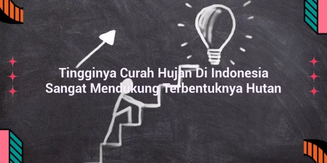 featured image tingginya curah hujan di indonesia sangat mendukung terbentuknya hutan 0