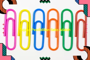 featured image tujuan pendidikan seks adalah 0