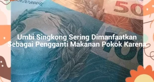featured image umbi singkong sering dimanfaatkan sebagai pengganti makanan pokok karena 0