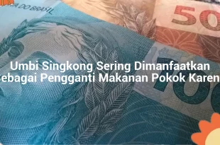 featured image umbi singkong sering dimanfaatkan sebagai pengganti makanan pokok karena 0