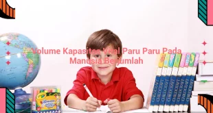 featured image volume kapasitas vital paru paru pada manusia berjumlah 0