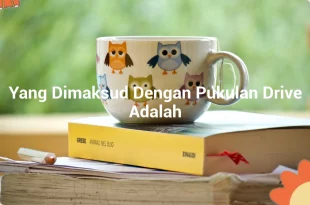 featured image yang dimaksud dengan pukulan drive adalah 0