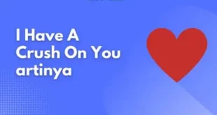 i have crush on you artinya 0