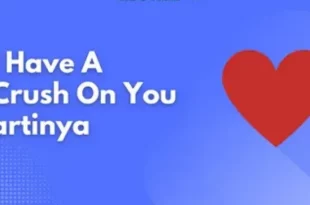 i have crush on you artinya 0