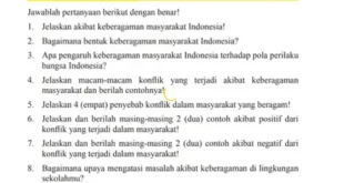 jelaskan akibat keberagaman masyarakat indonesia 0