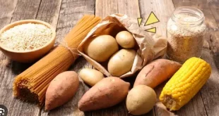 makanan yang mengandung karbohidrat 0