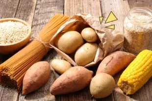 makanan yang mengandung karbohidrat 0
