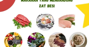 makanan yang mengandung zat besi 0