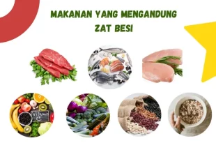 makanan yang mengandung zat besi 0