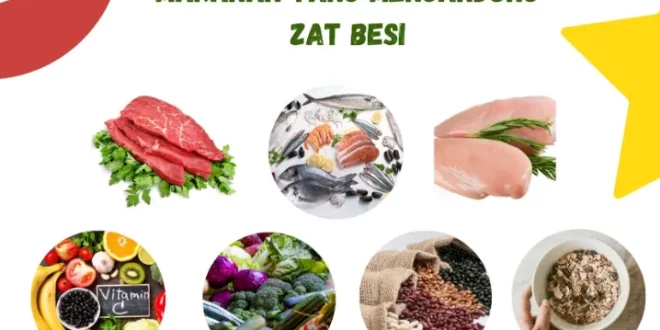 makanan yang mengandung zat besi 0