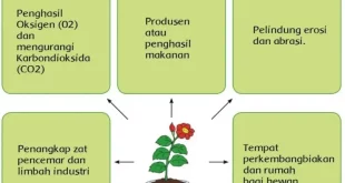 manfaat tumbuhan bagi makhluk hidup 0