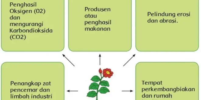 manfaat tumbuhan bagi makhluk hidup 0
