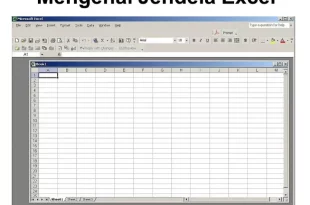 microsoft excel merupakan progran aplikasi 0