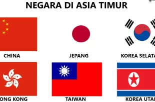 negara negara di asia timur 0