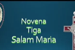 novena 3 salam maria 0