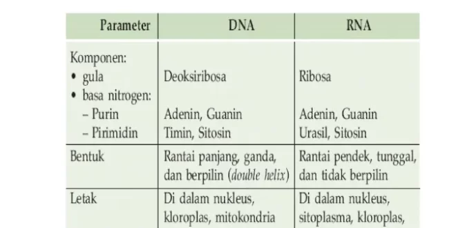 perbedaan dna dan rna 0