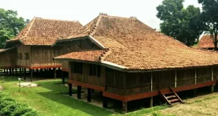 rumah adat sumatera selatan 0
