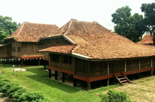 rumah adat sumatera selatan 0