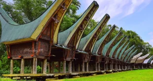 rumah adat tongkonan berasal dari 0