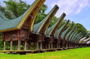 rumah adat tongkonan berasal dari 0