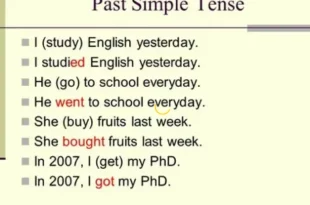 rumus simple past tense 0