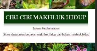 sebutkan ciri ciri makhluk hidup 0