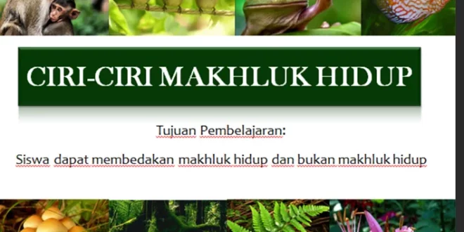 sebutkan ciri ciri makhluk hidup 0