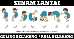 sikap akhir yang benar saat guling belakang adalah 0