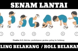 sikap akhir yang benar saat guling belakang adalah 0