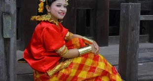 suku bugis berasal dari 0