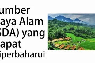 sumber daya alam yang tidak dapat diperbarui 0
