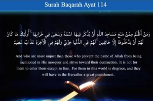 surah al baqarah 0