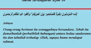 surat al hujurat ayat 12 0